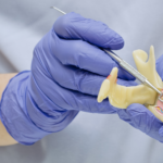 Periodontia em Balneário Camboriú