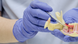 Periodontia em Balneário Camboriú